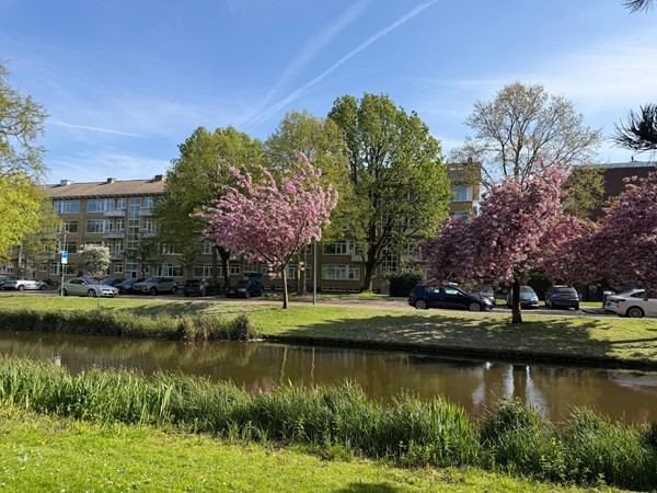 Medium property photo - Statensingel 154A, 3039 LW Rotterdam